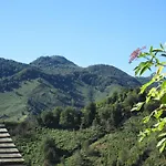Appartamento Sole E Ventu 70qm By Interhome
