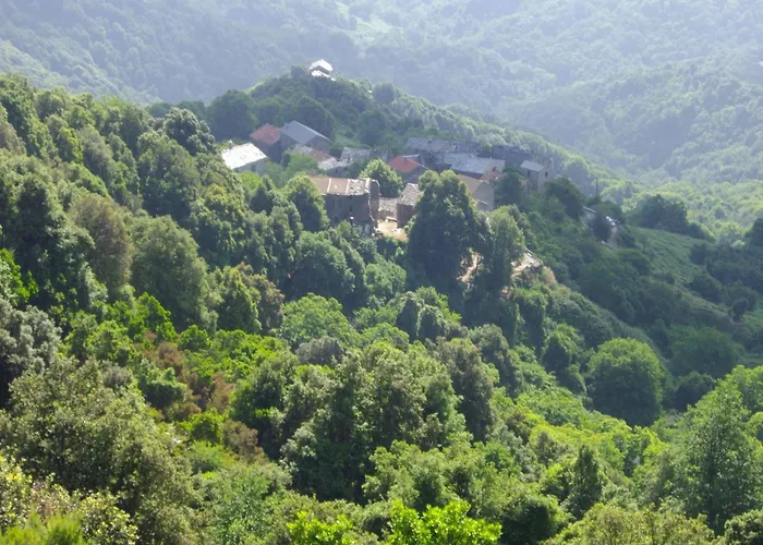 Sole E Ventu 70qm By Interhome * San-Giovanni-di-Moriani