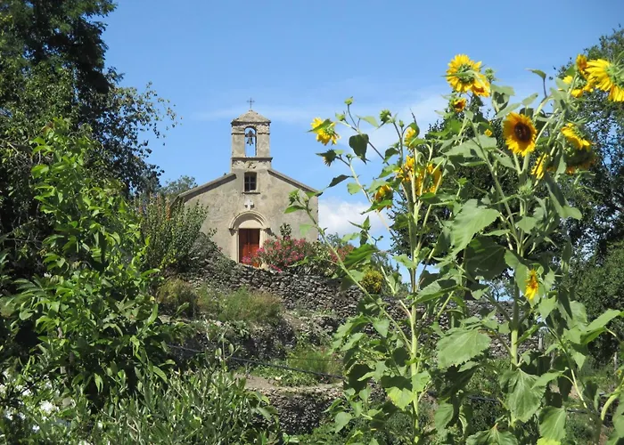 Appartement Sole E Ventu 70qm By Interhome San-Giovanni-di-Moriani