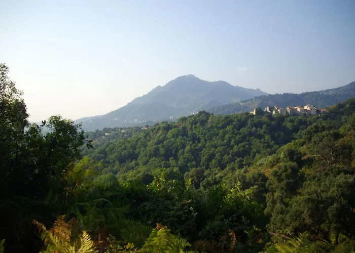 Sole E Ventu 70qm By Interhome Appartement