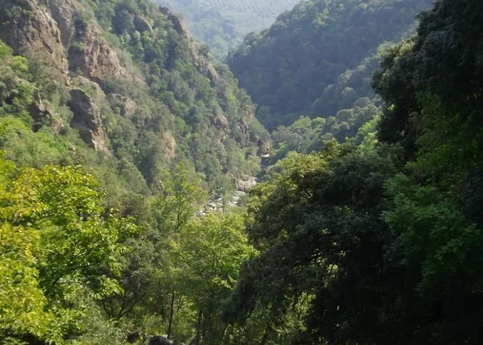 Sole E Ventu 70qm By Interhome Appartement San-Giovanni-di-Moriani